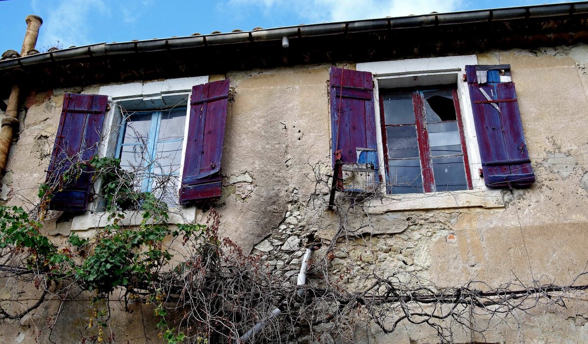 Старые окна - Михаил Рогожин