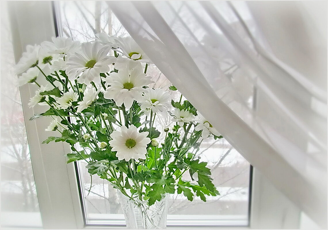 Цветы на окне в марте - Ольга Елисеева