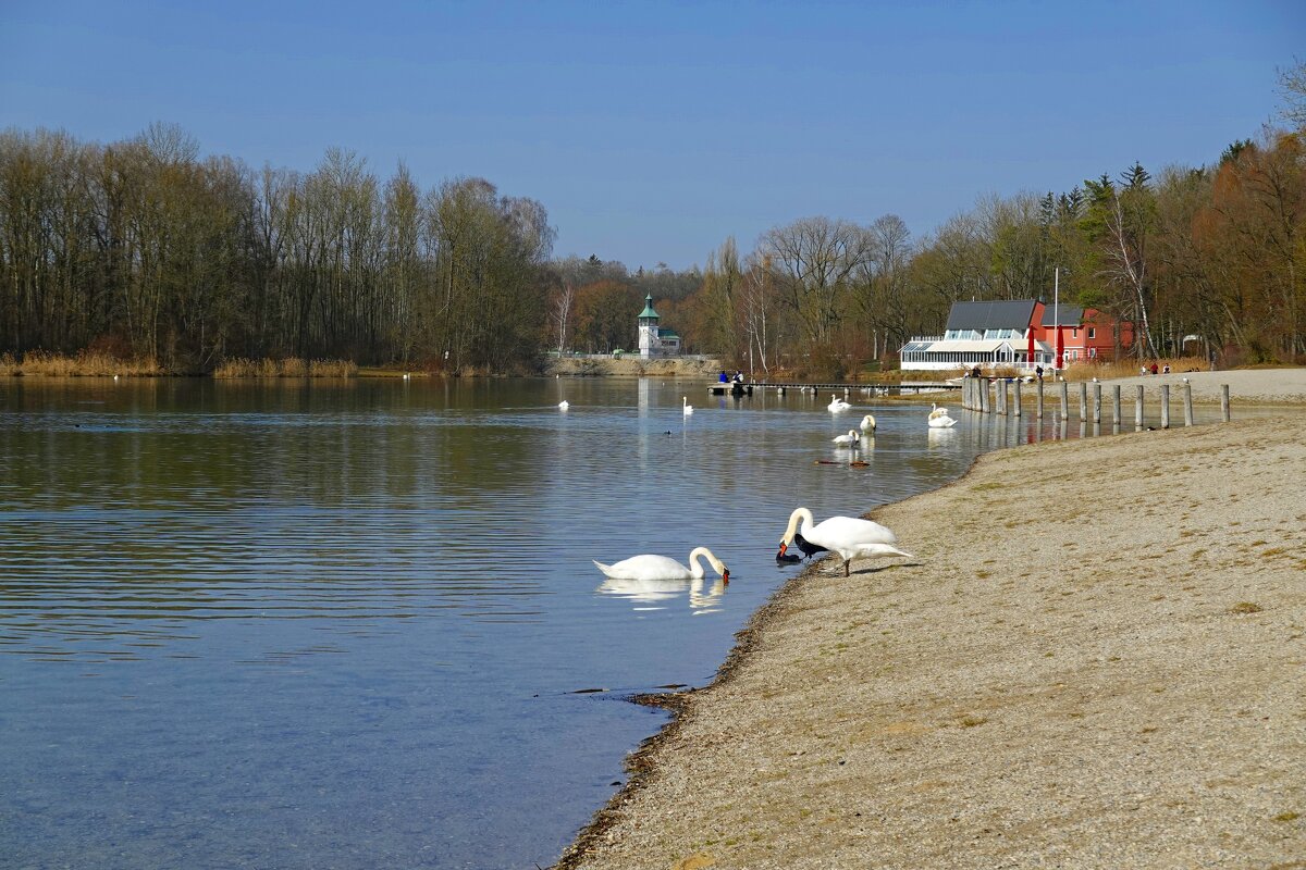 "Лебединое" озеро в феврале.. - Galina Dzubina