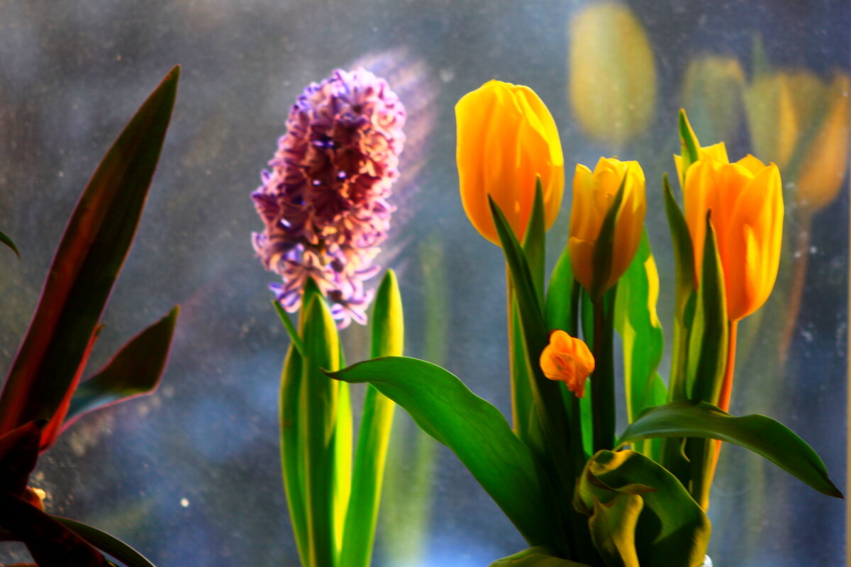 Весна преподносит сюрприз  9 марта  в 8 утра - олег свирский 