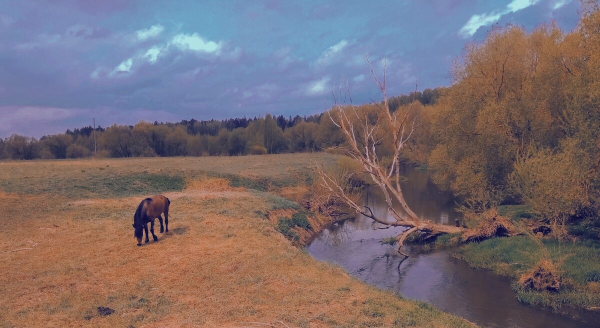 Деревенская жизнь. - adrow 