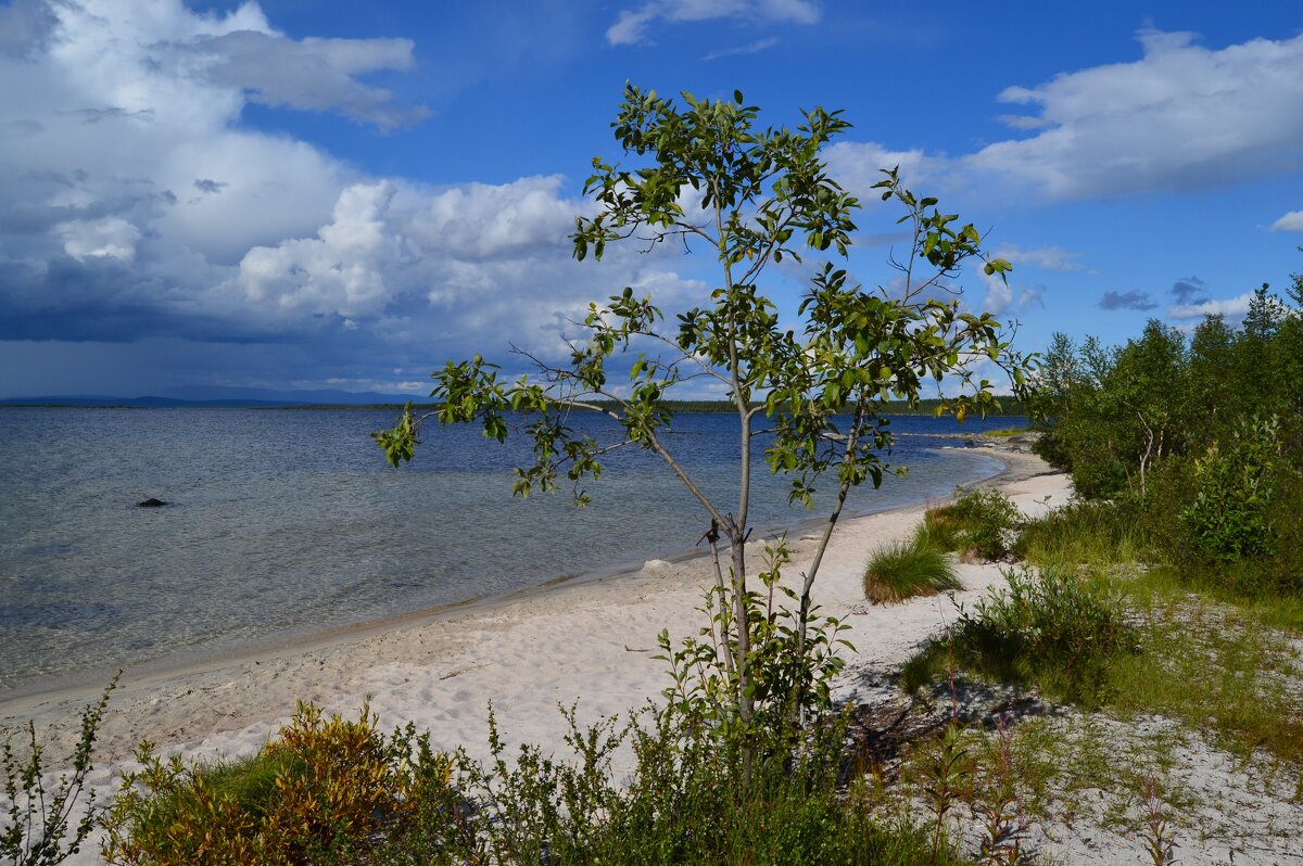 Пляжи Имандры - Ольга 