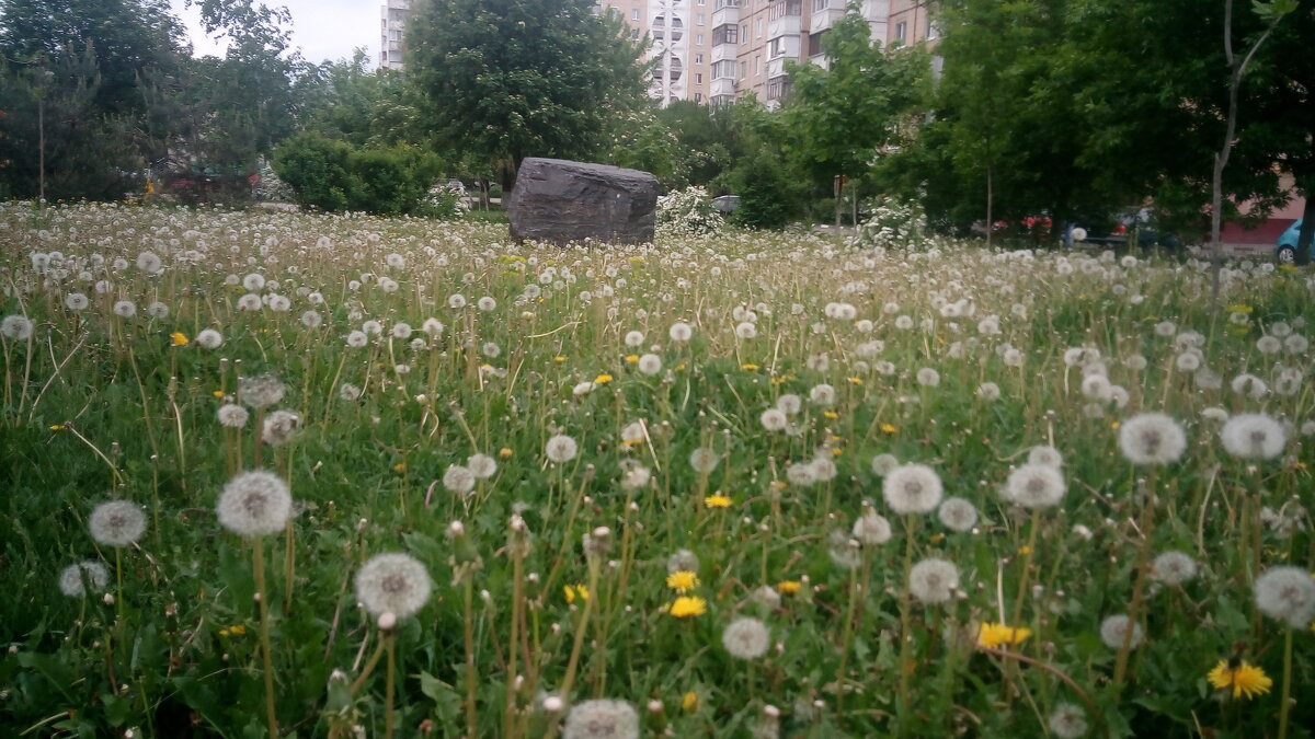 ,,, - Сергей Тимоновский