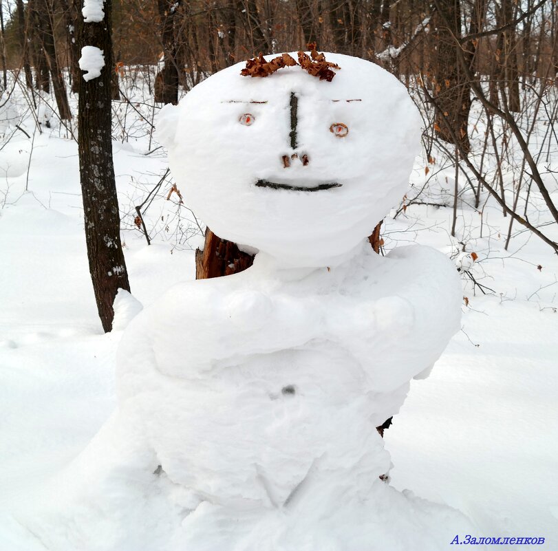 Прихорашиваются в марте и снеговики! :-) - Андрей Заломленков
