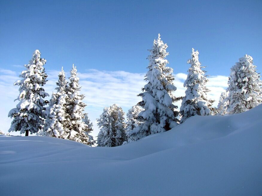 Зима в Альпах - Galina Solovova