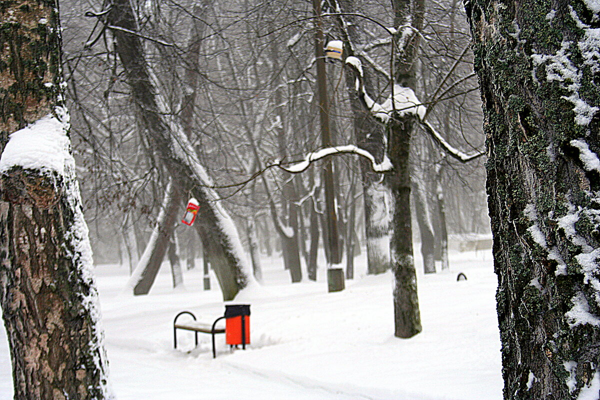 зимний парк - Любовь 
