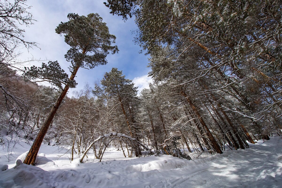 КБР,Чегет   IMG_8405 - Олег Петрушин