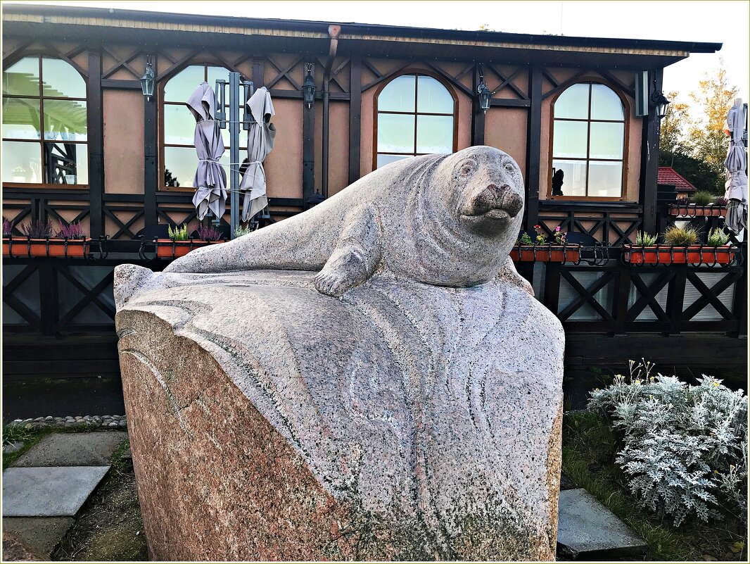 Скульптура серого балтийского тюленя. - Валерия Комова