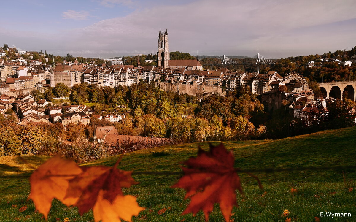 Freiburg - Elena Wymann