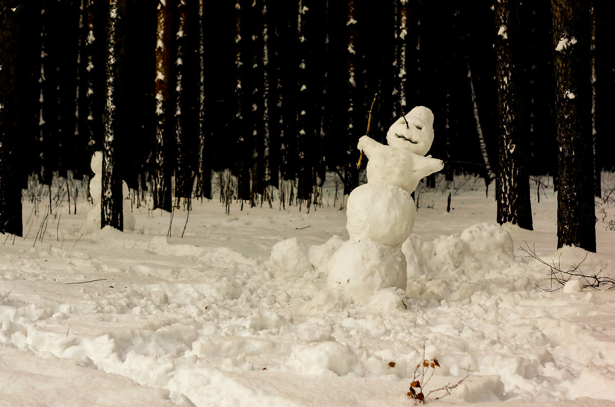 Снеговик в стиле "Хэллоуин" - Сергей Царёв