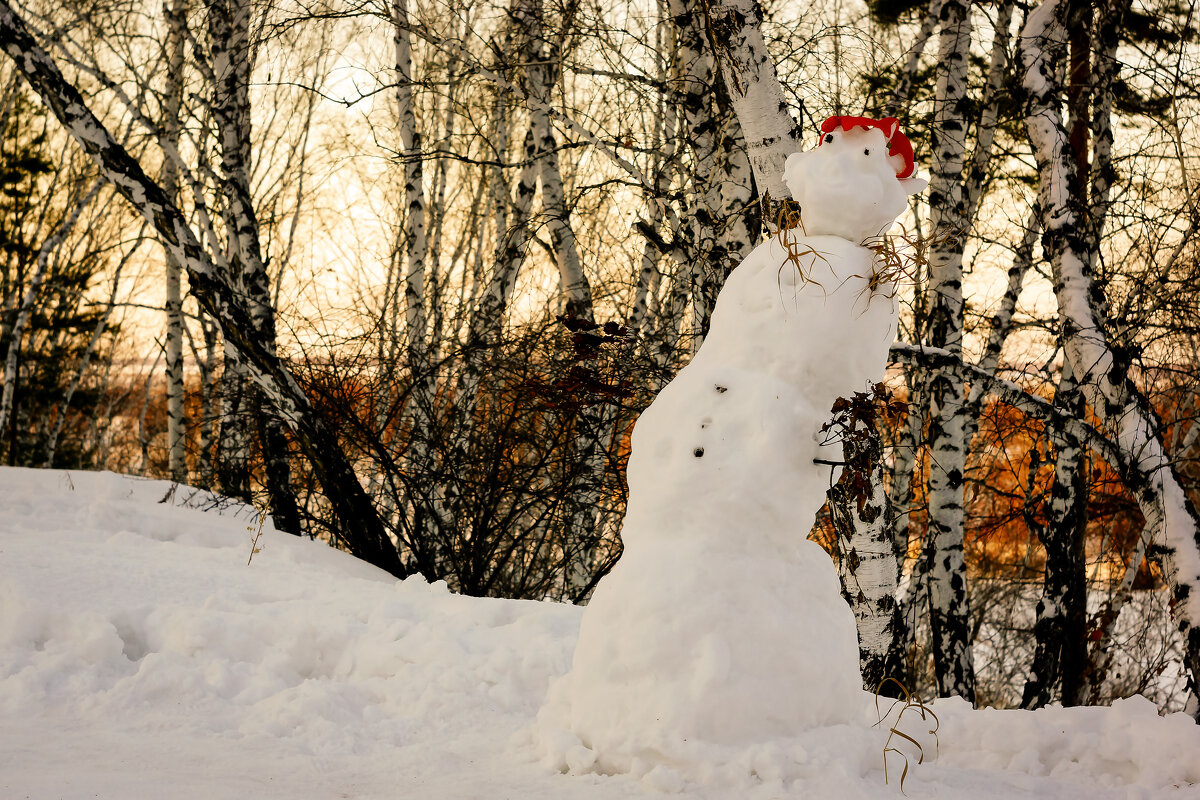 Снеговик на закате - Сергей Царёв