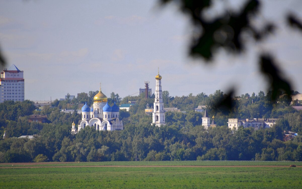Вид на Николо-Угрешский монастырь из села Остров - Oleg4618 Шутченко