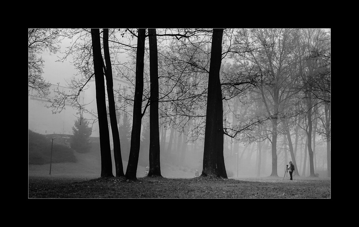 фотограф в тумане - Jiří Valiska