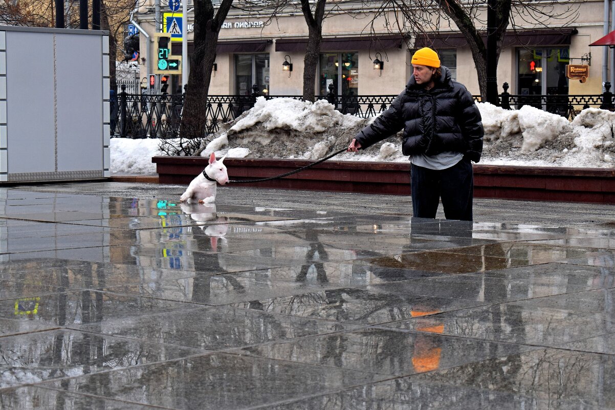 Идёт с утра то дождь, то снег. - Татьяна Помогалова