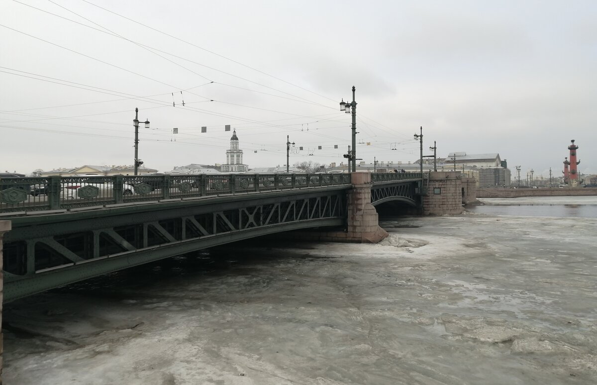 Дворцовый мост в Санкт-Петербурге - Митя Дмитрий Митя