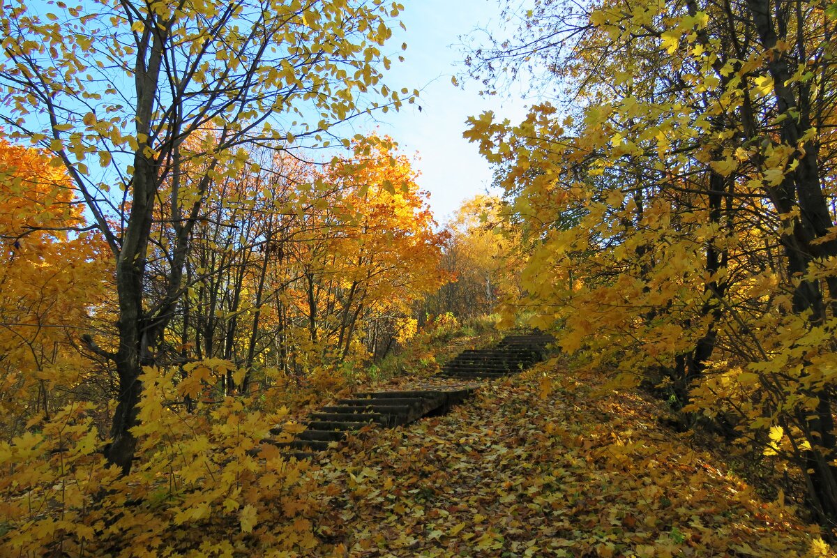 Парк Швейцария - Григорий охотник