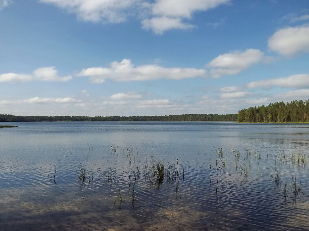 Лесные озера - Liliya Kharlamova