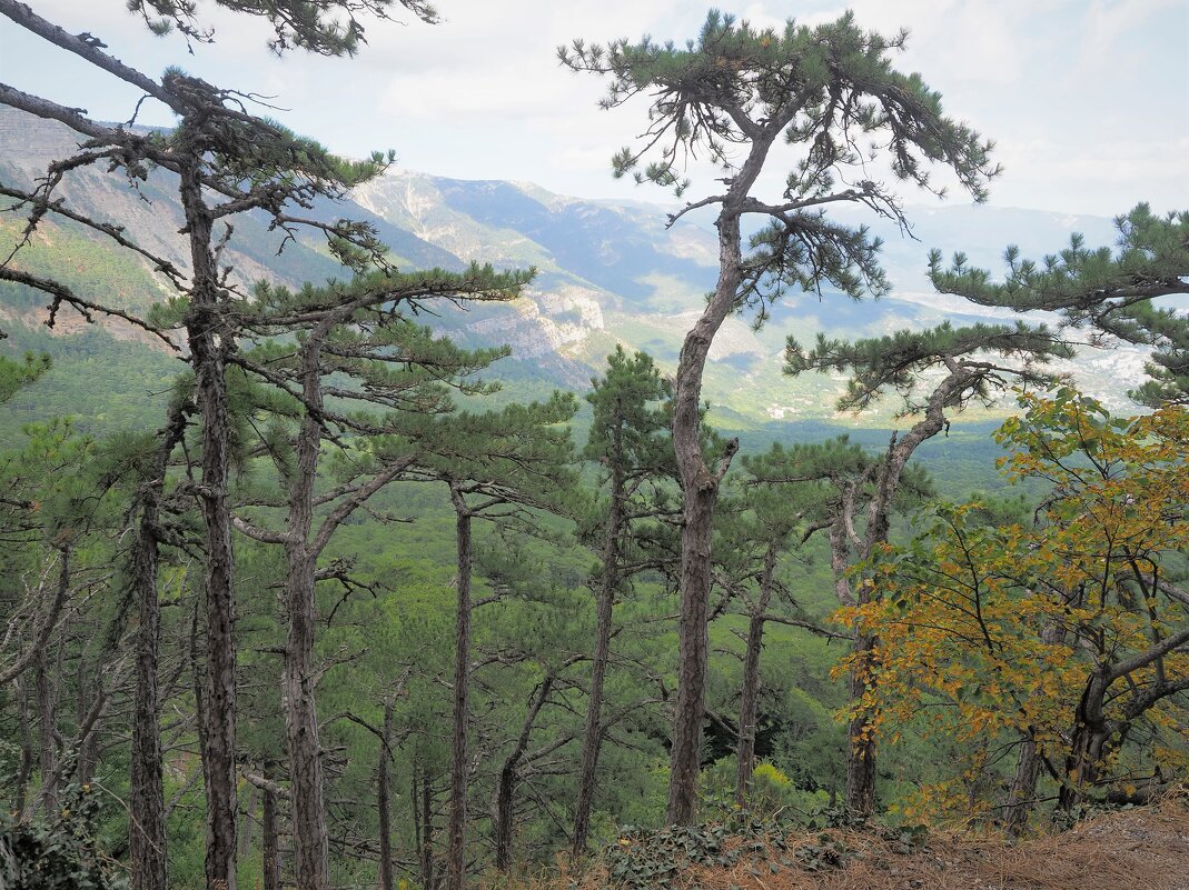 В Крыму - Евгений Седов