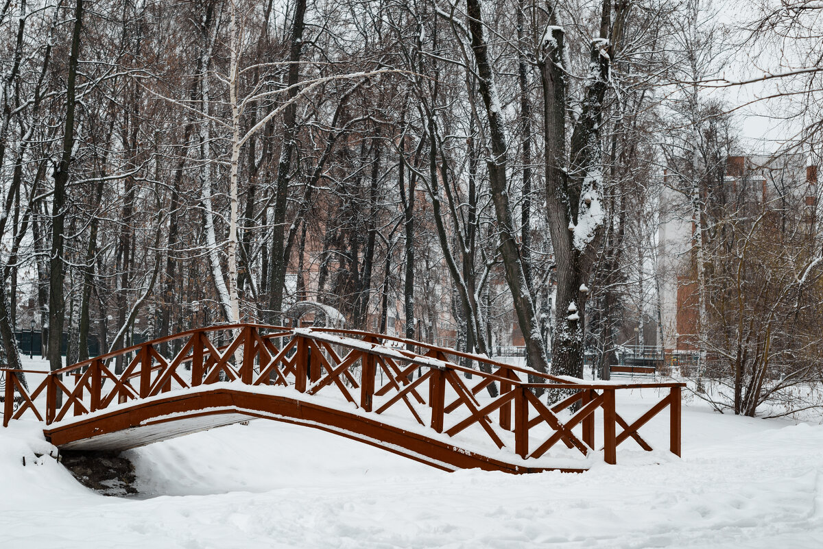 Зима в городском парке г. Саранск - Юлия Авдеева
