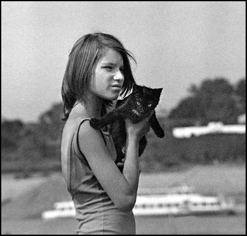 Девочка с котенком - Меднов Влад Меднов