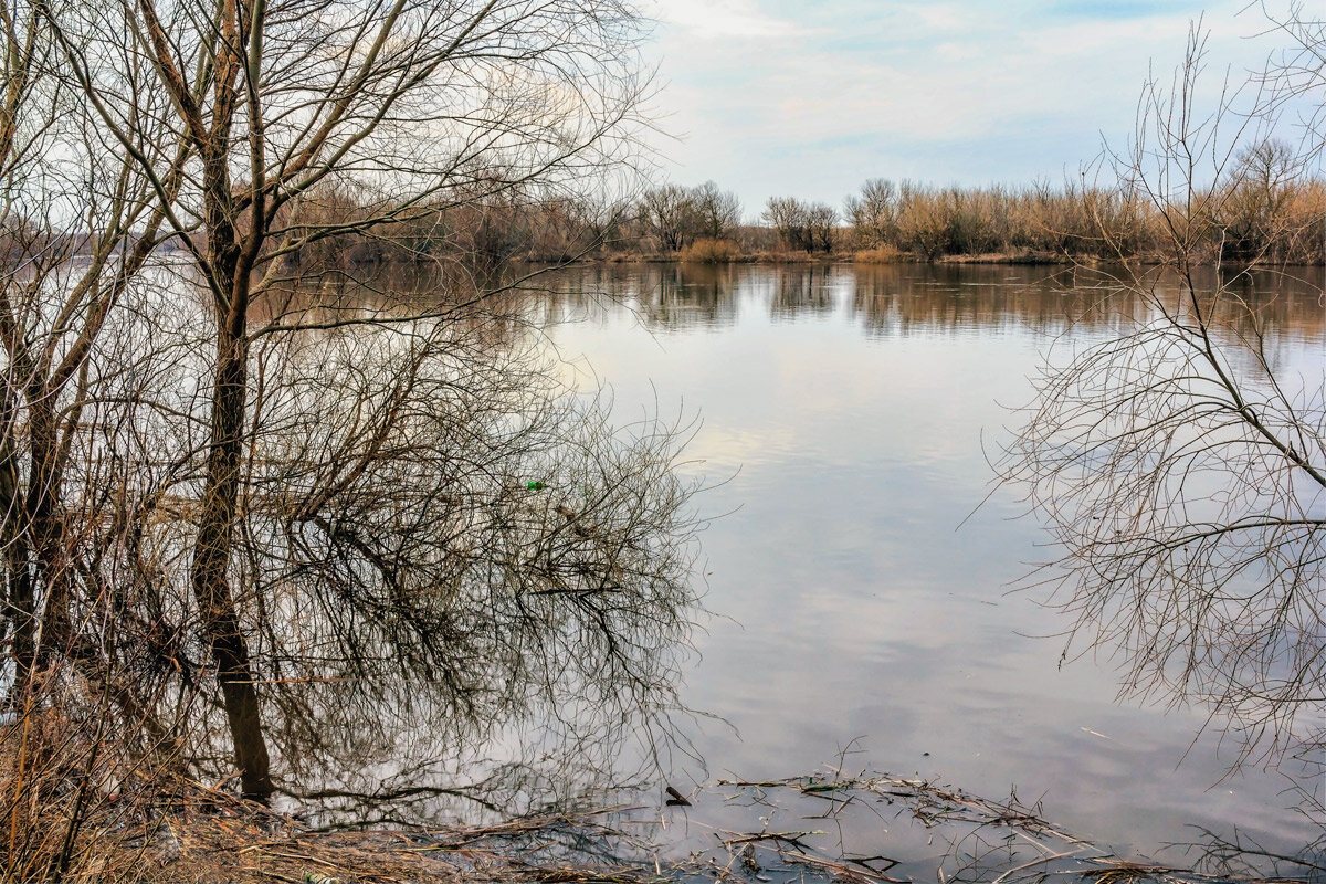 Вечерний разлив у реки - Юрий Стародубцев