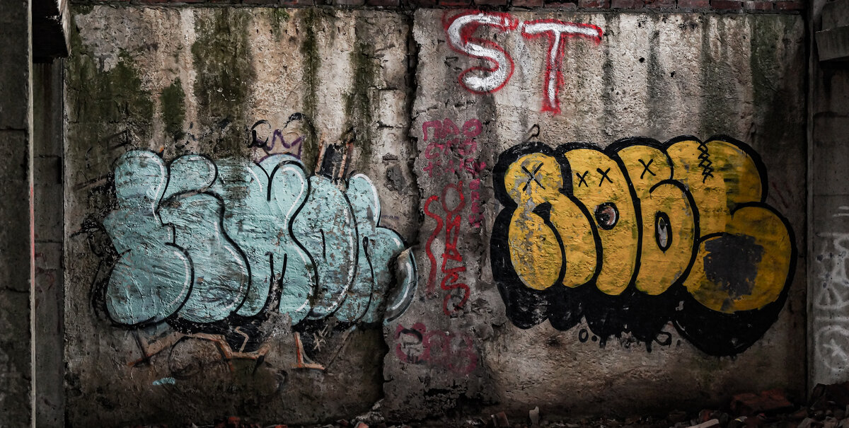 граффити на стене одного заброшенного дома - Vlad Proshin 