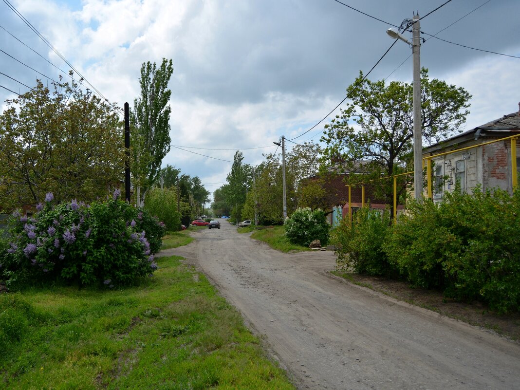 Новочеркасск. Цветёт сирень на улице Аксайской. - Пётр Чернега