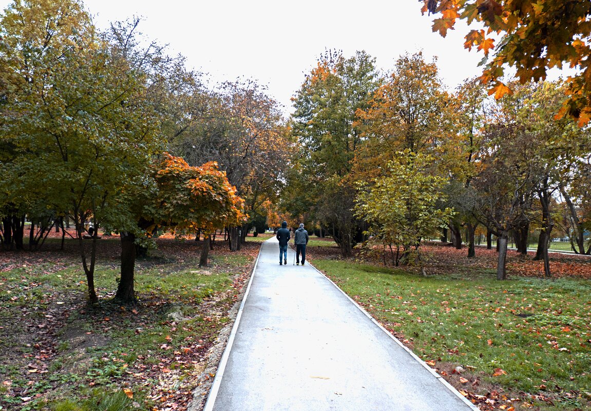 Осень в  Гагаринском  парке - Валентин Семчишин