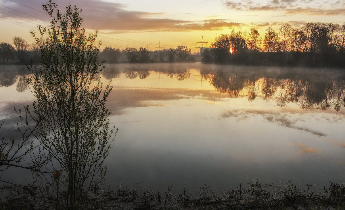 **** - Alexander Andronik