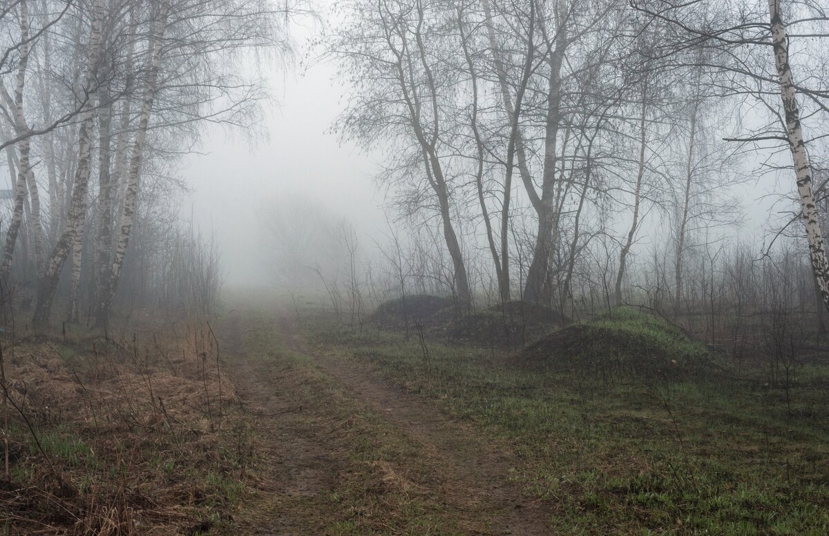 Туманное утро - Валерий Иванович