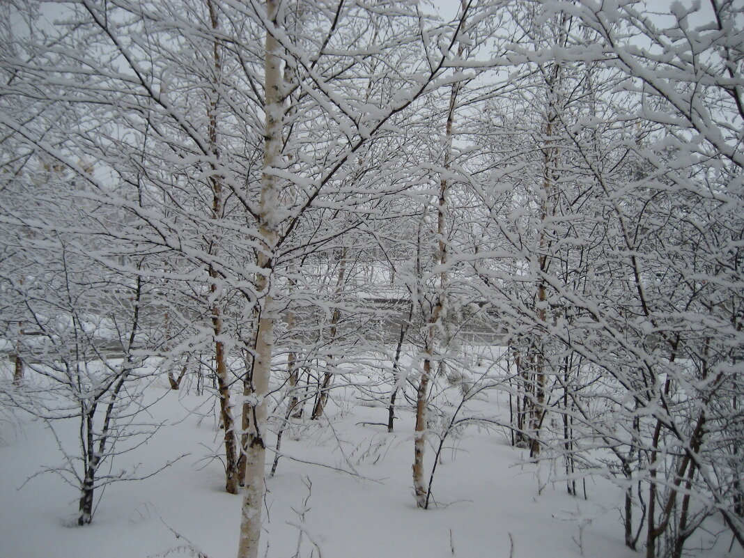 В нашем городе снег... - Anna Ivanova