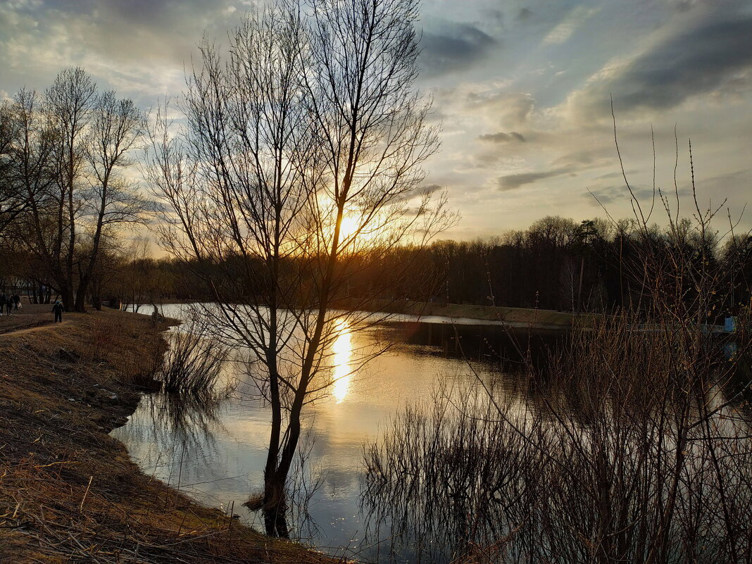 Закат на пруду (А как еще назвать?) - Андрей Лукьянов