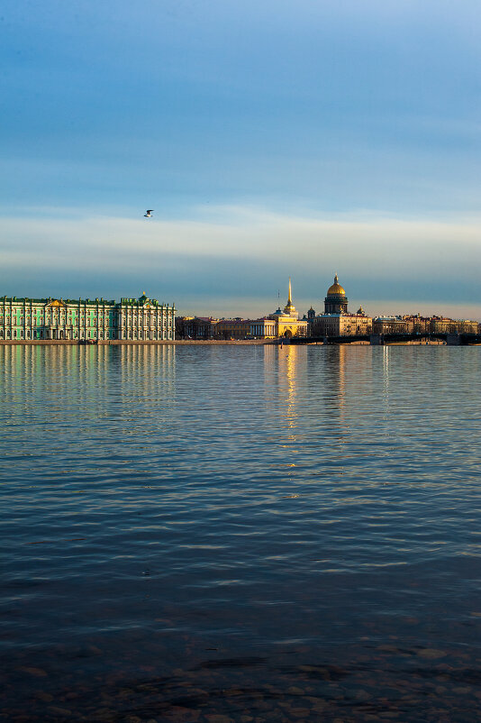 Вечерний Петербург в теплую безветренную погоду - Майя Жинкина