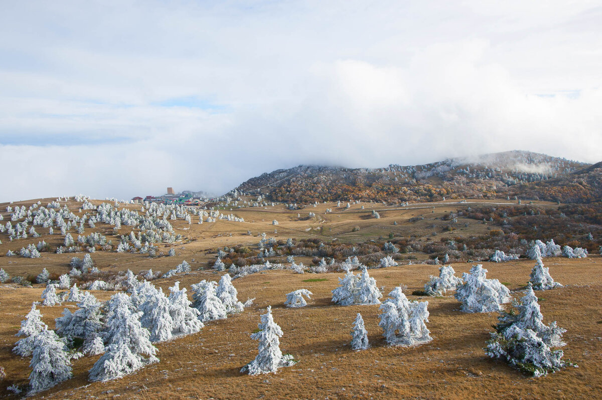 Осень на плато Ай-Петри - Сергей Титов