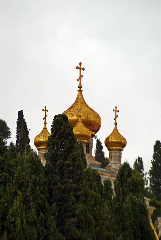 купола церкви Марии Магдалины - Александр Корчемный