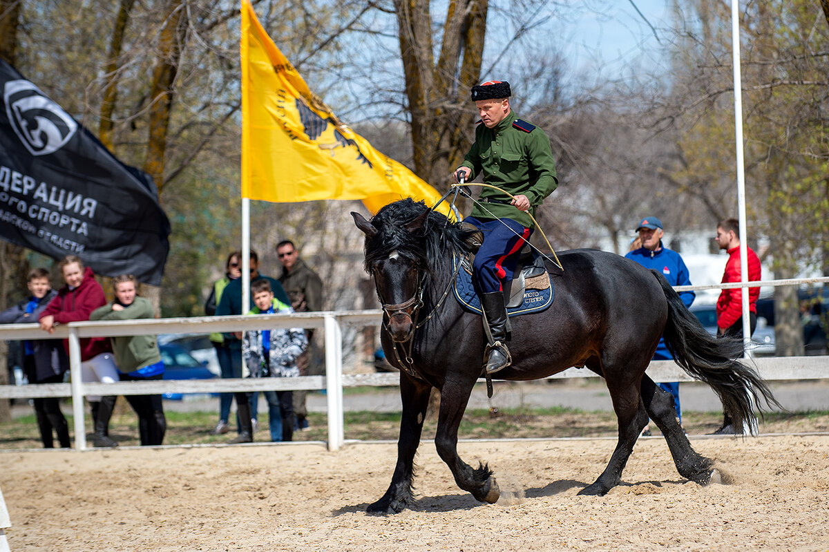 ... - Александр Гриднев