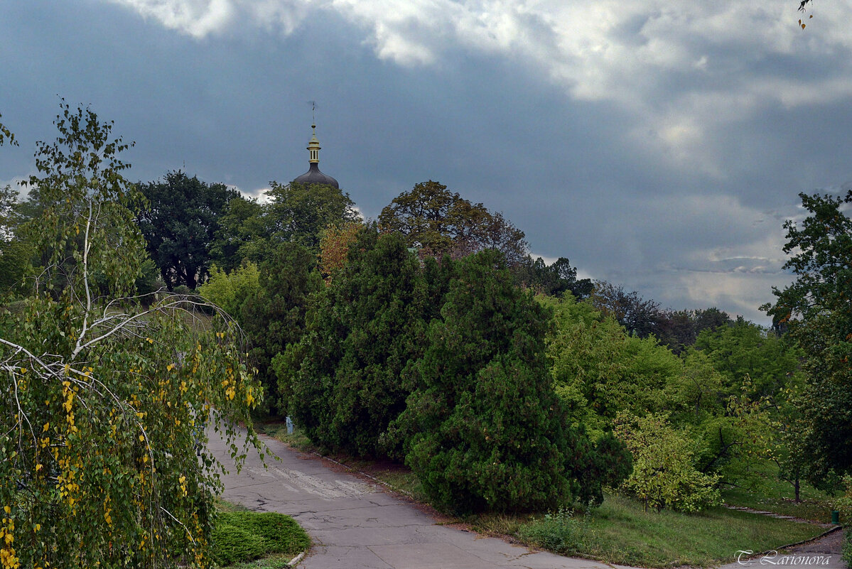В ботаническом саду Киева - Татьяна Ларионова