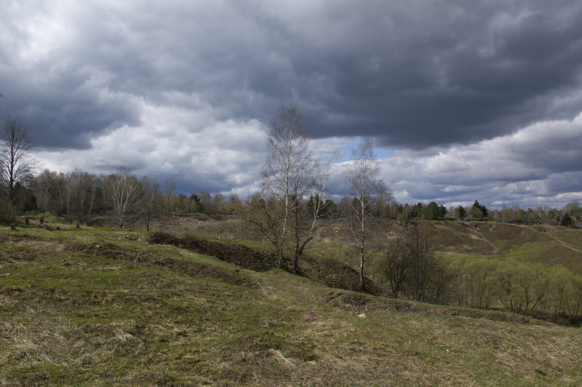 Под хмурым небом в холодном апреле - Дмитрий Аргунов