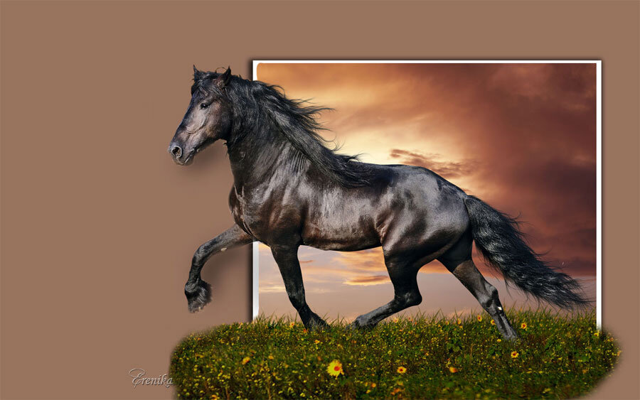 черная лошадь - Любовь ***