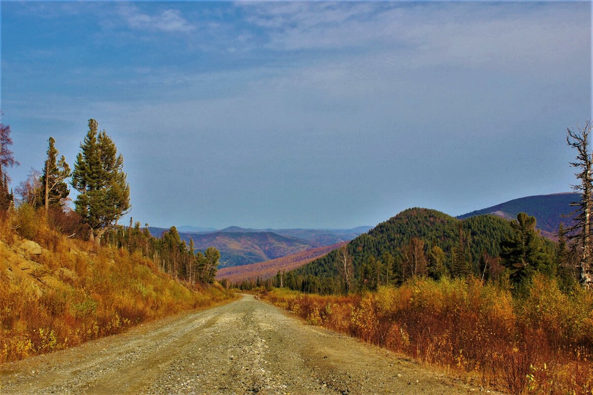 Осенняя дорога в горах - Сергей Чиняев 