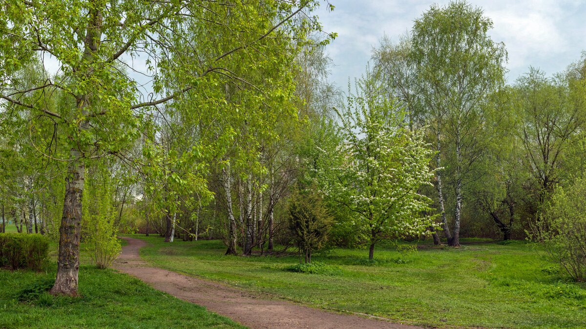 Прогулка по парку - Валерий Иванович