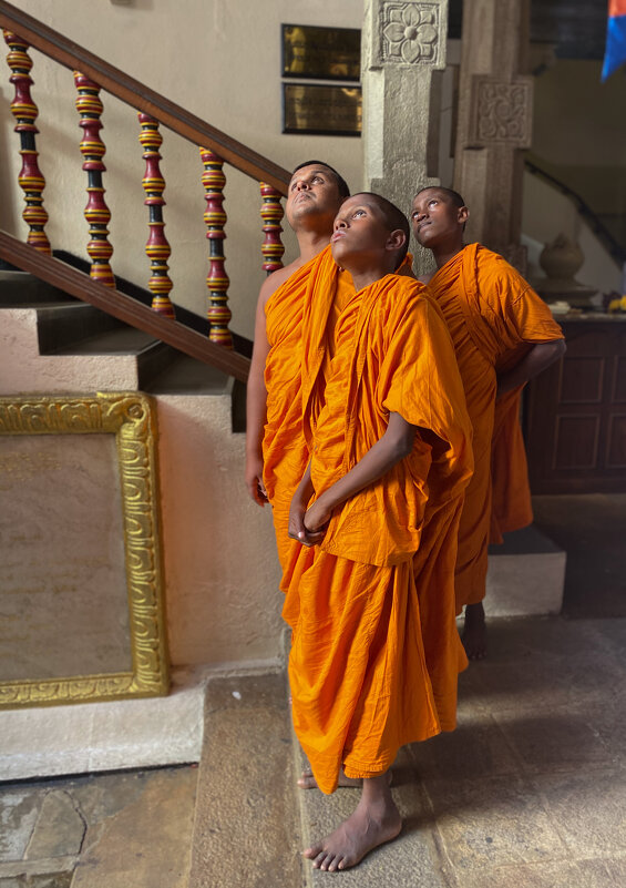 Буддистские монахи - Наталья 