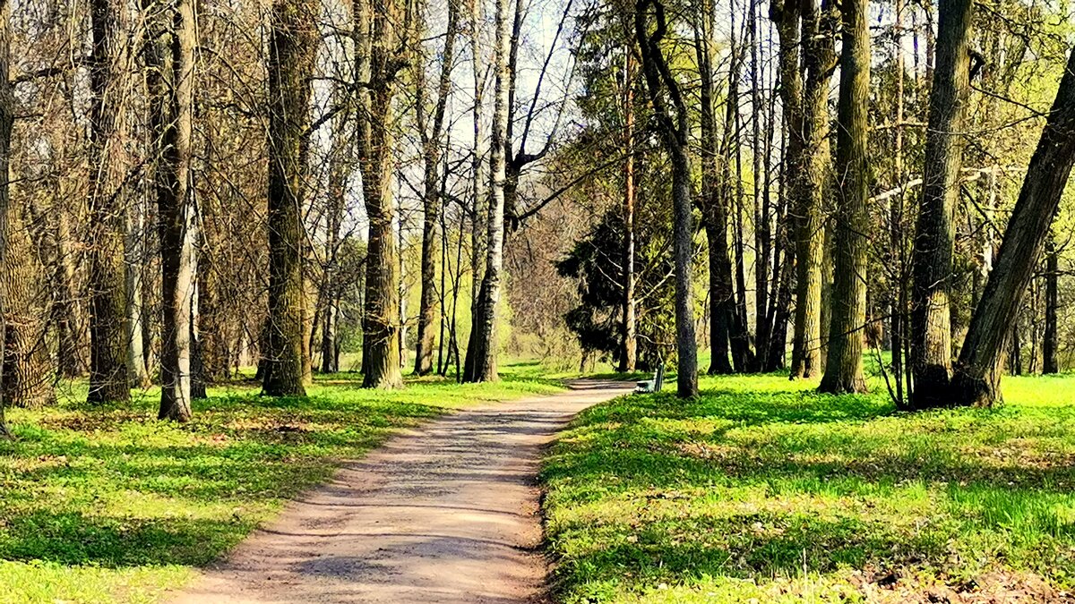 В Павловском парке весной - 3 - Сергей 