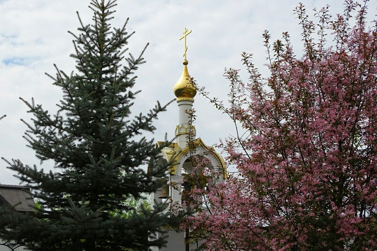 Золотые купола православных храмов. - Милешкин Владимир Алексеевич 