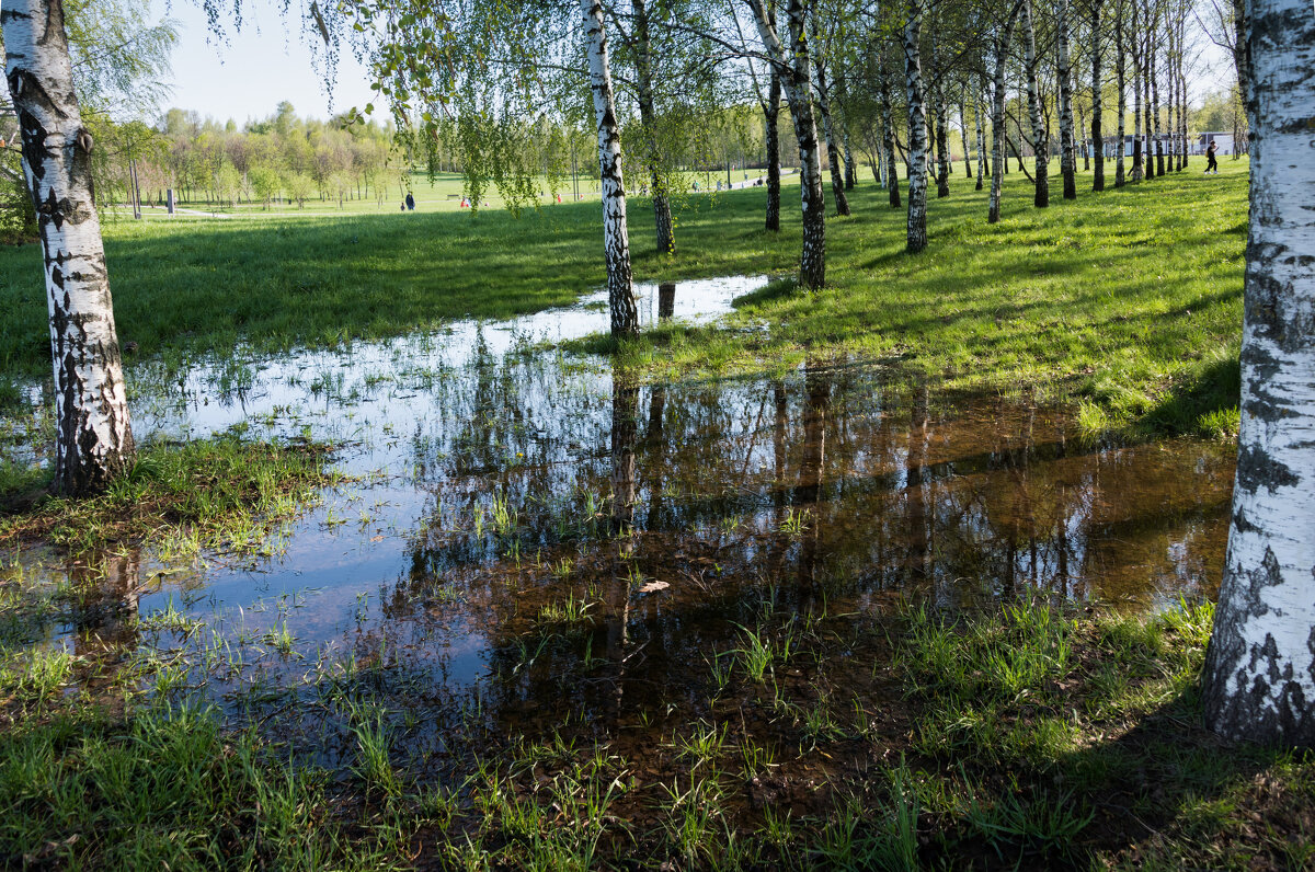 *** - Владимир Безбородов