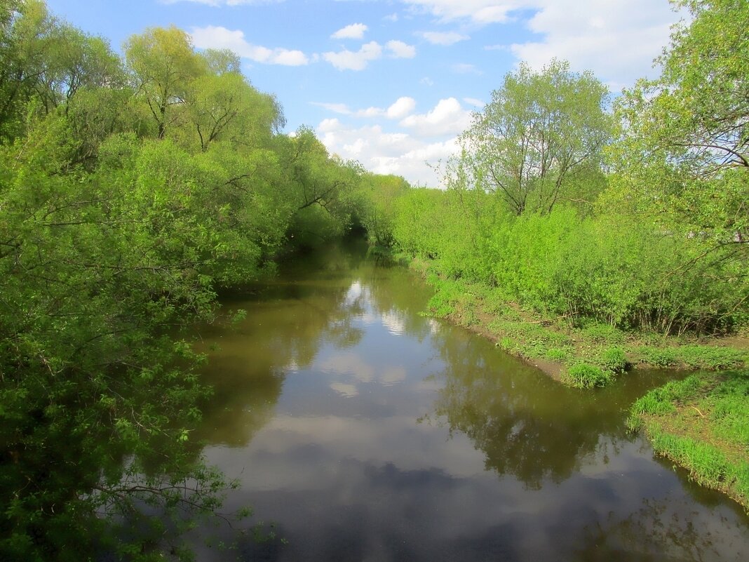 Река Яуза - Ольга Довженко