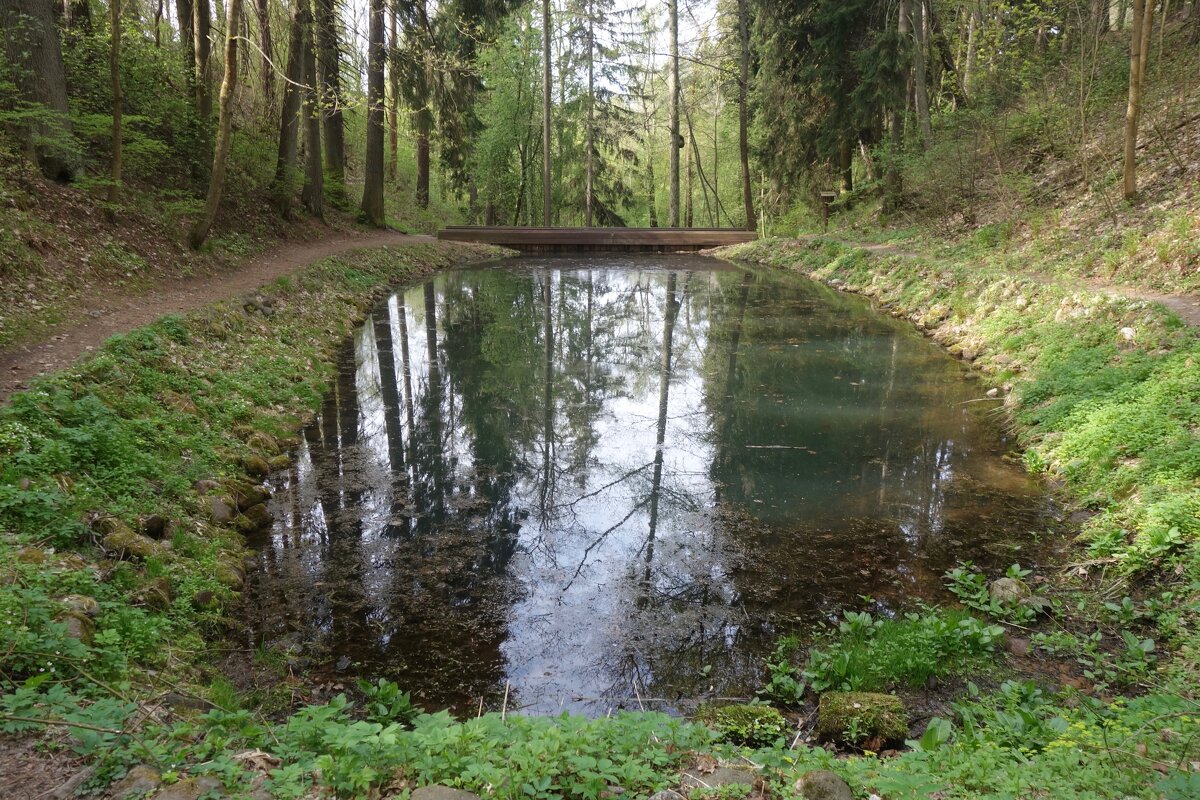 озеро Круглое в Комарово - Елена 