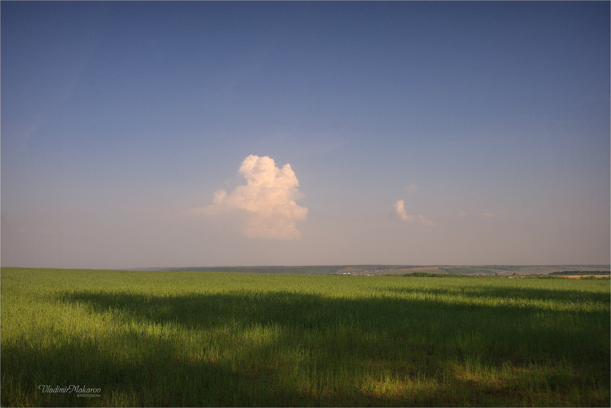 "Облако в мареве над полем"© - Владимир Макаров