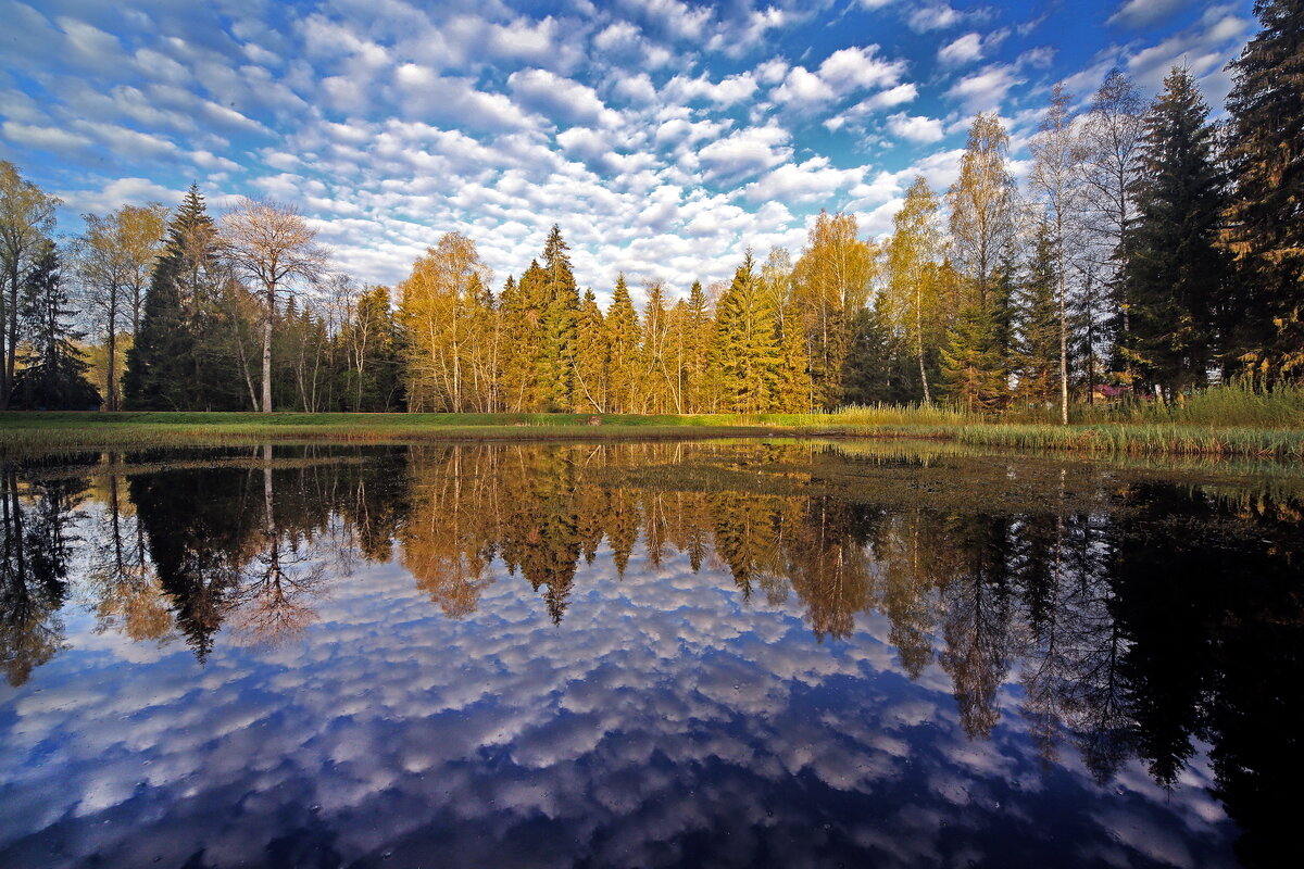 Центрально-Лесной Государственный Биосферный Заповедник - Михаил Бибичков
