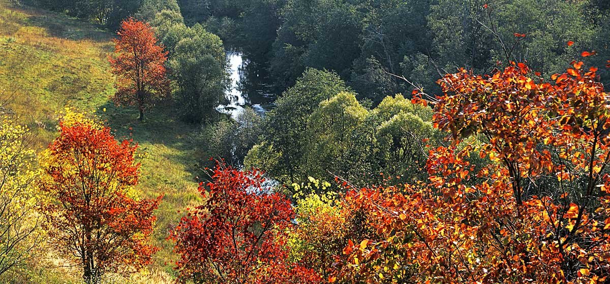 Осень в долине Исьмы - Сергей Курников